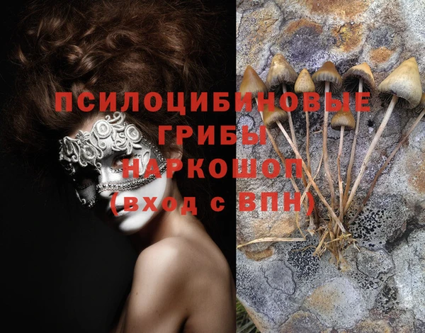 мет Вяземский