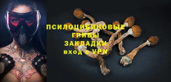 бошки Горно-Алтайск