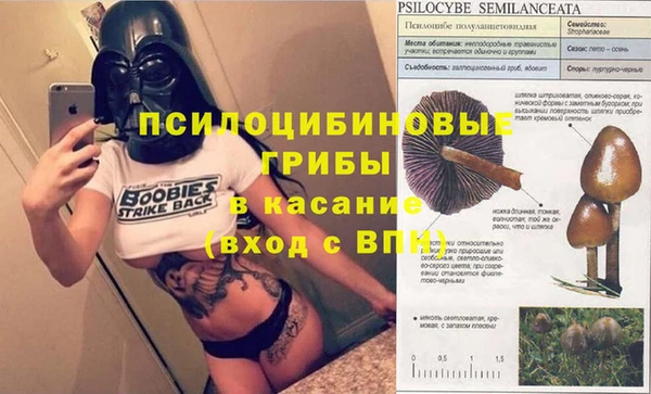 бошки Горно-Алтайск