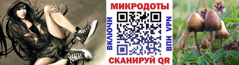 Псилоцибиновые грибы Cubensis  Верхняя Пышма 