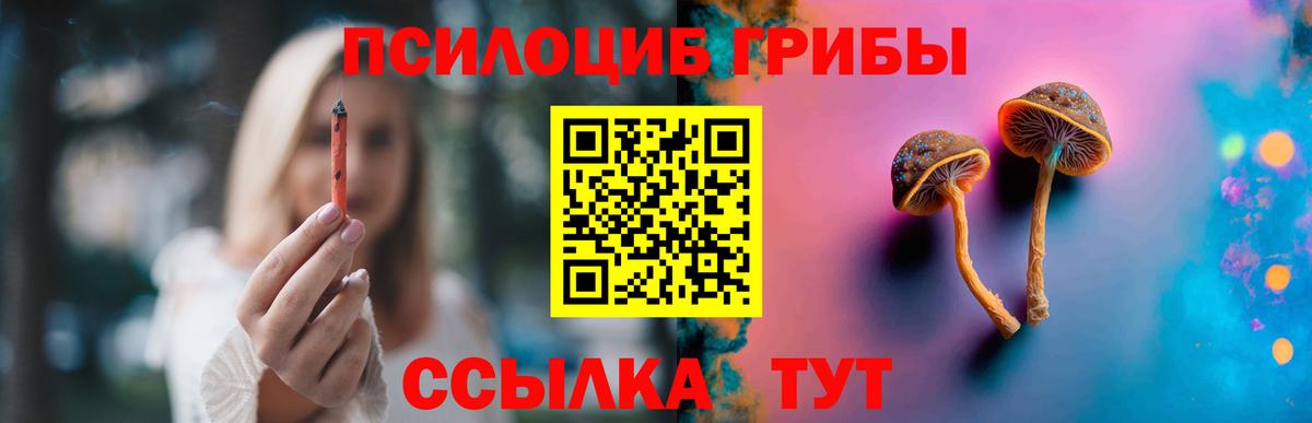 Галлюциногенные грибы мухоморы  Вход с VPN  Верхняя Пышма  как найти   Псилоцибиновые грибы GOLDEN TEACHER 